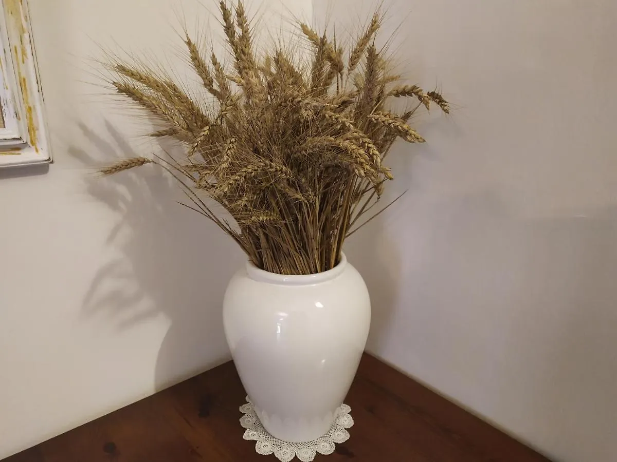 La Dolce Agogia Apartment Assisi Italy